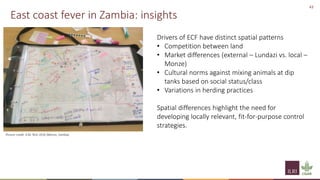 Principles of group model building and spatial group model building
