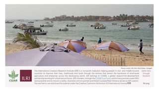 Principles of group model building and spatial group model building