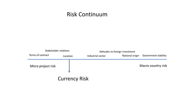 forex risks in financial sector presentation for professionals | PPT