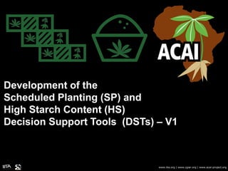 Development of the
Scheduled Planting (SP) and
High Starch Content (HS)
Decision Support Tools (DSTs) – V1
www.iita.org | www.cgiar.org | www.acai-project.org
 