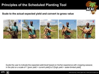 Principles of the Scheduled Planting Tool
www.iita.org | www.cgiar.org | www.acai-project.org
Scale to the actual expected...