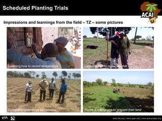 Scheduled Planting Trials
www.iita.org | www.cgiar.org | www.acai-project.org
Impressions and learnings from the field – T...