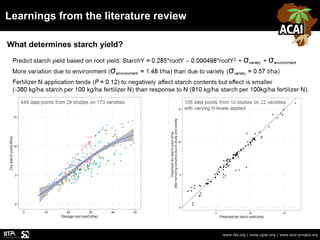 Learnings from the literature review
www.iita.org | www.cgiar.org | www.acai-project.org
What determines starch yield?
 