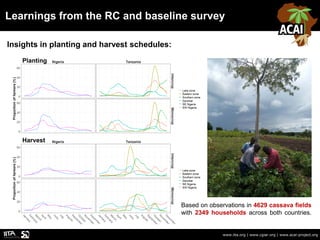 Learnings from the RC and baseline survey
www.iita.org | www.cgiar.org | www.acai-project.org
Harvest
Planting
Insights in...