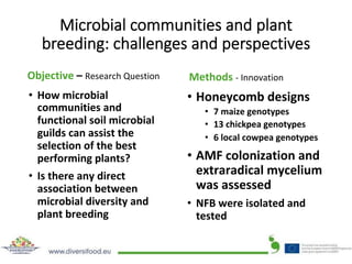 DIVERSIFOOD Final Congress - Session 2 - Underutilizated/forgotten crops: multi-actor and on farm evaluation