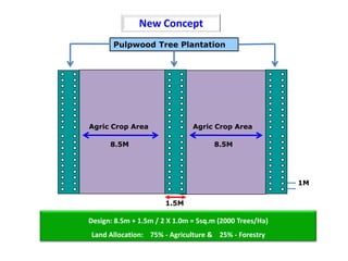 Session 3.1 agroforestry for wood and food security | PPTX
