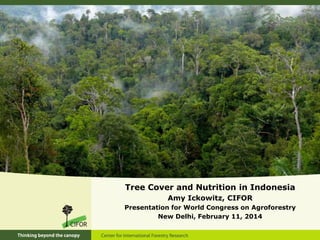 Tree Cover and Nutrition in Indonesia
Amy Ickowitz, CIFOR
Presentation for World Congress on Agroforestry
New Delhi, February 11, 2014
 