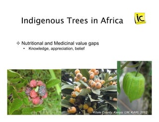 indigenous trees incubators