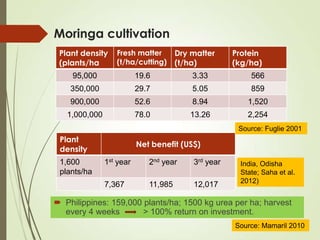 Moringa cultivation
Plant density
(plants/ha
Fresh matter
(t/ha/cutting)
Dry matter
(t/ha)
Protein
(kg/ha)
95,000 19.6 3.33 566
350,000 29.7 5.05 859
900,000 52.6 8.94 1,520
1,000,000 78.0 13.26 2,254
Source: Fuglie 2001
 Philippines: 159,000 plants/ha; 1500 kg urea per ha; harvest
every 4 weeks > 100% return on investment.
Plant
density
Net benefit (US$)
1,600
plants/ha
1st year 2nd year 3rd year
7,367 11,985 12,017
India, Odisha
State; Saha et al.
2012)
Source: Mamaril 2010
 