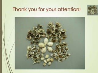 Session 3.3 Moringa for improved nutrition