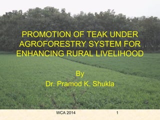 WCA 2014 1
PROMOTION OF TEAK UNDER
AGROFORESTRY SYSTEM FOR
ENHANCING RURAL LIVELIHOOD
By
Dr. Pramod K. Shukla
 