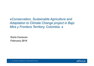 1 2014 WORLD CONGRESS ON AGROFORESTRY DELHI
«Conservation, Sustainable Agriculture and
Adaptation to Climate Change project in Bajo
Mira y Frontera Territory, Colombia. »
Karla Canavan
February 2014
 