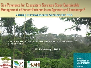 Can Payments for Ecosystem Services Steer Sustainable
Management of Forest Patches in an Agricultural Landscape?
Valuing Environmental Services for PES
Nasta Babirye, Sara Namirembe and Byamukama
Biryahwaho
11th February, 2014
 