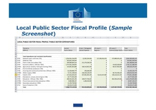 Local Public Sector Fiscal Profile (Sample
  Screenshot)
 