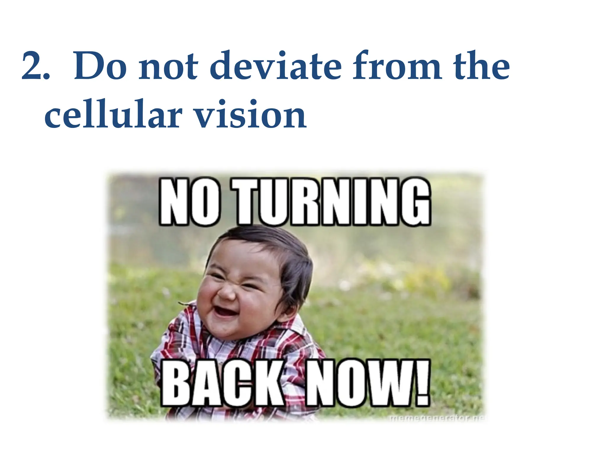 2. Do not deviate from the
cellular vision
 