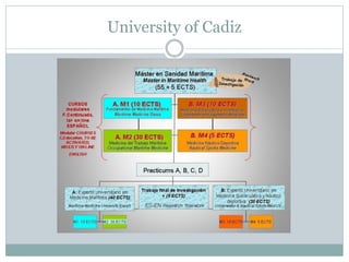 University of Cadiz  