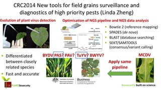 biosecurity built on science
CRC2014 New tools for field grains surveillance and
diagnostics of high priority pests (Linda Zheng)
Evolution of plant virus detection Optimisation of NGS pipeline and NGS data analysis
 Bowtie 2 (reference mapping)
 SPADES (de novo)
 BLAST (database searching)
 SEKT/SAMTOOLS
(consensus/variant calling)
MCDVBYDV PAS? PAV? TuYV? BWYV?
Apply same
pipeline
 Differentiated
between closely
related species
 Fast and accurate
 