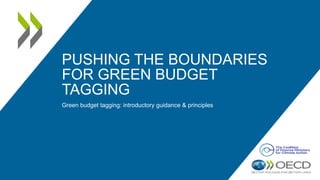 PUSHING THE BOUNDARIES
FOR GREEN BUDGET
TAGGING
Green budget tagging: introductory guidance & principles
 