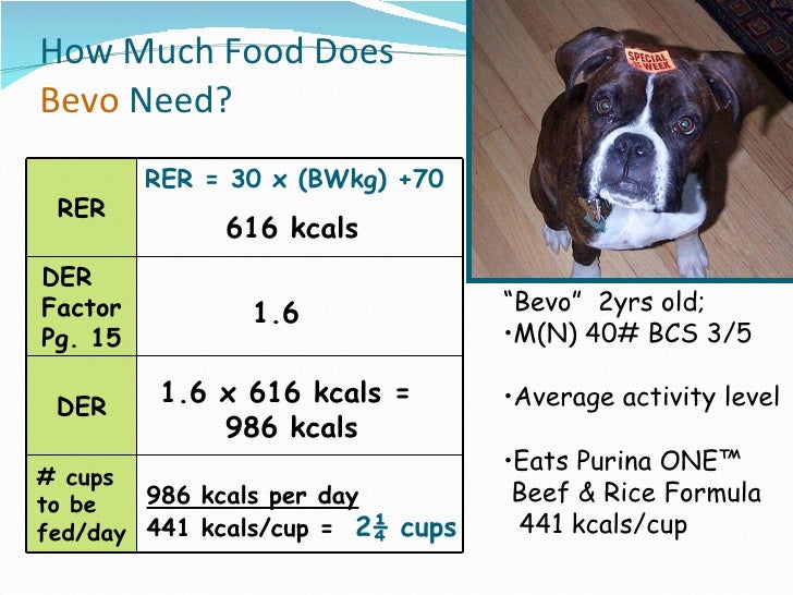 Session 3 San Ecalcs & Ls Ls
