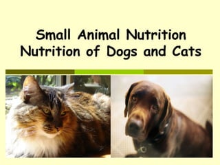 Small Animal Nutrition
Nutrition of Dogs and Cats
 
