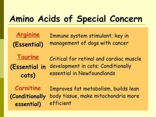 Amino Acids of Special Concern
Arginine
(Essential)
Immune system stimulant; key in
management of dogs with cancer
Taurine
(Essential in
cats)
Critical for retinal and cardiac muscle
development in cats; Conditionally
essential in Newfoundlands
Carnitine
(Conditionally
essential)
Improves fat metabolism, builds lean
body tissue, make mitochondria more
efficient
 