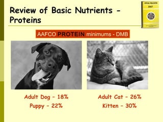 Review of Basic Nutrients -
Proteins
AAFCO PROTEIN minimums - DMB
Adult Dog – 18%
Puppy – 22%
Adult Cat – 26%
Kitten – 30%
 