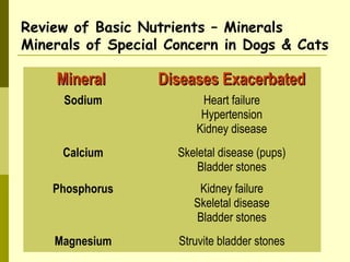 Review of Basic Nutrients – Minerals
Minerals of Special Concern in Dogs & Cats
MineralMineral Diseases ExacerbatedDiseases Exacerbated
Sodium Heart failure
Hypertension
Kidney disease
Calcium Skeletal disease (pups)
Bladder stones
Phosphorus Kidney failure
Skeletal disease
Bladder stones
Magnesium Struvite bladder stones
 