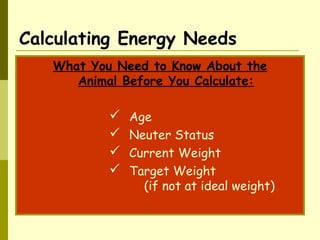 Calculating Energy Needs
What You Need to Know About the
Animal Before You Calculate:
 Age
 Neuter Status
 Current Weight
 Target Weight
(if not at ideal weight)
 