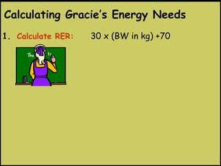 1. Calculate RER: 30 x (BW in kg) +70
Calculating Gracie’s Energy Needs
 