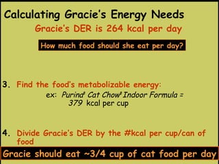 3. Find the food’s metabolizable energy:
ex: Purina®
Cat Chow®
Indoor Formula =
379 kcal per cup
4. Divide Gracie’s DER by the #kcal per cup/can of
food
DER = 264 ÷ 379 = ~3/4 cup per dayGracie should eat ~3/4 cup of cat food per day
Gracie’s DER is 264 kcal per day
How much food should she eat per day?
Calculating Gracie’s Energy Needs
 