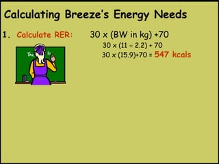 1. Calculate RER: 30 x (BW in kg) +70
30 x (11 ÷ 2.2) + 70
30 x (15.9)+70 = 547 kcals
Calculating Breeze’s Energy Needs
 