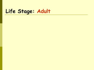 Life Stage: Adult
 