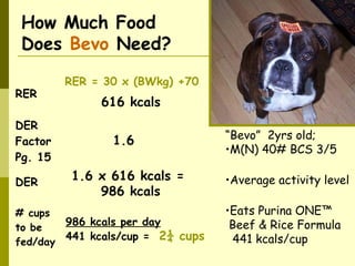How Much Food
Does Bevo Need?
“Bevo” 2yrs old;
•M(N) 40# BCS 3/5
•Average activity level
•Eats Purina ONE™
Beef & Rice Formula
441 kcals/cup
RER
RER = 30 x (BWkg) +70
DER
Factor
Pg. 15
DER
# cups
to be
fed/day
616 kcals
1.6
1.6 x 616 kcals =
986 kcals
986 kcals per day
441 kcals/cup = 2¼ cups
 