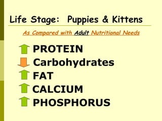 Life Stage: Puppies & Kittens
As Compared with Adult Nutritional Needs
PROTEIN
PHOSPHORUS
CALCIUM
FAT
Carbohydrates
 