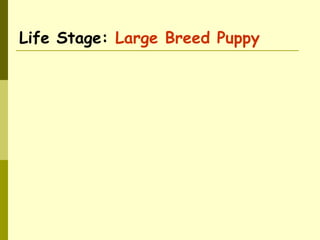 Life Stage: Large Breed Puppy
 