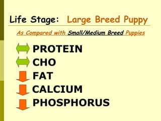 Life Stage: Large Breed Puppy
As Compared with Small/Medium Breed Puppies
PROTEIN
PHOSPHORUS
CALCIUM
FAT
CHO
 