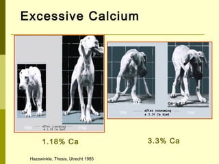 1.18% Ca 3.3% Ca
Excessive Calcium
Hazewinkle, Thesis, Utrecht 1985
 