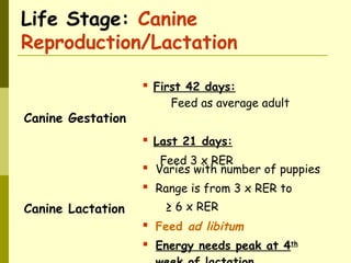 Life Stage: Canine
Reproduction/Lactation
Canine Gestation
 First 42 days:
Feed as average adult
 Last 21 days:
Feed 3 x RER
Canine Lactation
 Varies with number of puppies
 Range is from 3 x RER to
≥ 6 x RER
 Feed ad libitum
 Energy needs peak at 4th
 