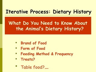 Iterative Process: Dietary History
What Do You Need to Know About
the Animal’s Dietary History?
 Brand of Food
 Form of Food
 Feeding Method & Frequency
 Treats?
 Table food?…
 