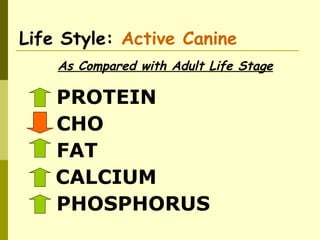 Life Style: Active Canine
As Compared with Adult Life Stage
PROTEIN
PHOSPHORUS
CALCIUM
FAT
CHO
© Flickr
 