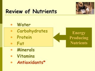 Review of Nutrients
• Water
• Carbohydrates
• Protein
• Fat
• Minerals
• Vitamins
• Antioxidants*
Energy
Producing
Nutrients
 