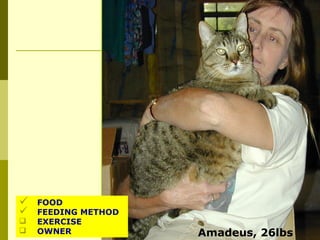 Amadeus, 26lbs
 FOOD
 FEEDING METHOD
 EXERCISE
 OWNER
 