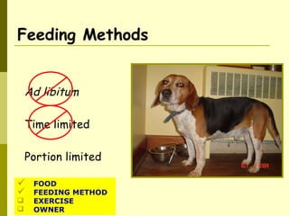 Feeding Methods
Ad libitum
Time limited
Portion limited
 FOOD
 FEEDING METHOD
 EXERCISE
 OWNER
 