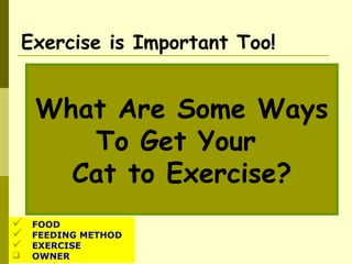 Exercise is Important Too!
What Are Some Ways
To Get Your
Cat to Exercise?
 FOOD
 FEEDING METHOD
 EXERCISE
 OWNER
 