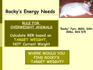 Rocky’s Energy Needs
“Rocky” 7yrs; M(N), DSH
20lbs, BCS 5/5
RULE FOR
OVERWEIGHT ANIMALS
Calculate RER based on
TARGET WEIGHT,
NOT Current Weight
WHERE WOULD YOU
FIND ROCKY’S
TARGET WEIGHT?
 