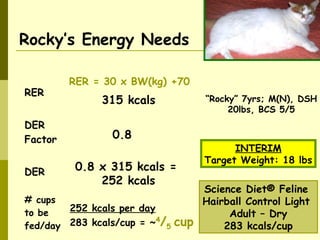 Rocky’s Energy Needs
RER
RER = 30 x BW(kg) +70
DER
Factor
DER
# cups
to be
fed/day
315 kcals
0.8
0.8 x 315 kcals =
252 kcals
252 kcals per day
283 kcals/cup = ~4
/5 cup
INTERIM
Target Weight: 18 lbs
Science Diet® Feline
Hairball Control Light
Adult – Dry
283 kcals/cup
“Rocky” 7yrs; M(N), DSH
20lbs, BCS 5/5
 