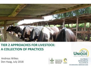 TIER 2 APPROACHES FOR LIVESTOCK:
A COLLECTION OF PRACTICES
Andreas Wilkes
Den Haag, July 2018
 