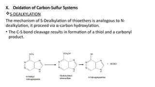 Comprehensive Overview of Biotransformation and Drug Metabolism ...