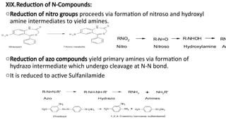 Comprehensive Overview of Biotransformation and Drug Metabolism ...
