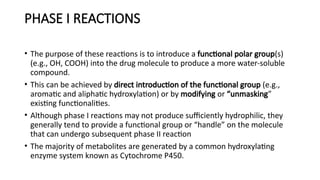 Comprehensive Overview of Biotransformation and Drug Metabolism ...